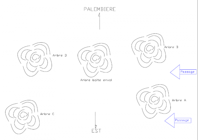 20230117121125_taille_arbres_envol.png