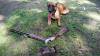 Plan de chasse