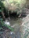 Bassin de jardin ...