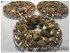 morilles