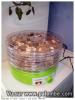 morilles
