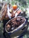 morilles