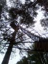 poste palombe