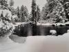 paysage sous la neige