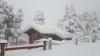 neige à Eyne