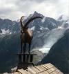 bouquetain des Alpes