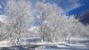 paysage neigeux