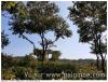 Un tunnel dans les arbres!!
