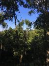 Palombiere vue