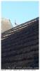 Architecte