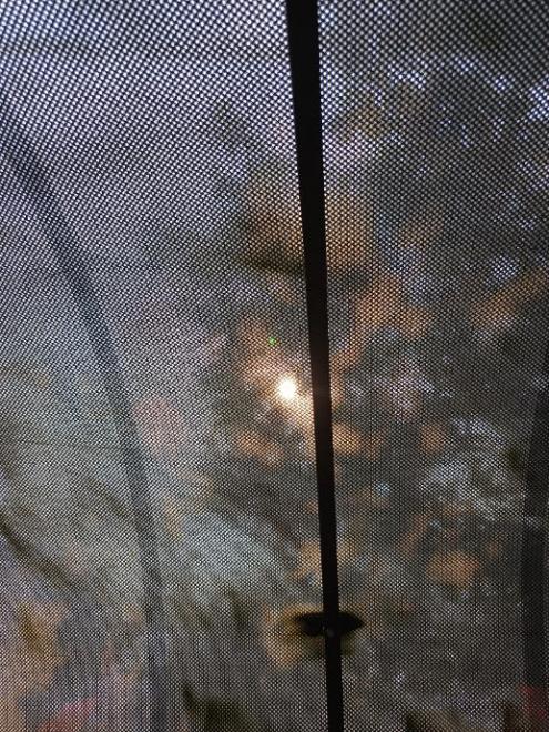 202508151759421000004775.jpg
