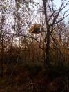 Cabane uxoa64