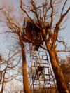 Cabane uxoa64