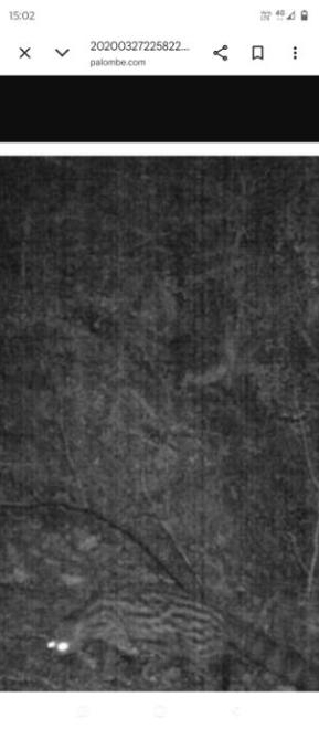 20260915150549467.jpg