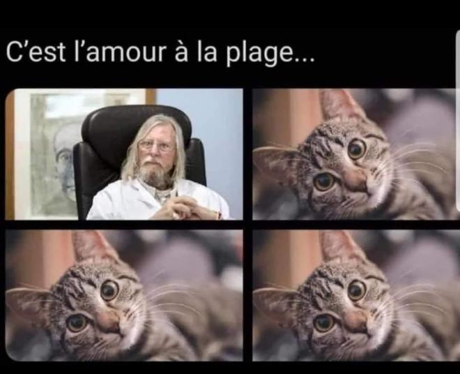 20200831064116raoult.jpg