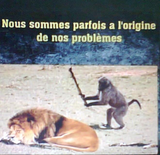 20220218114050sur.jpg