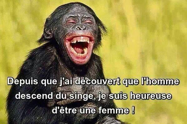 20250203082457humour717_n.jpg