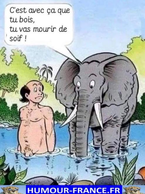 20250626170316cest-avec-ca-que-tu-bois-tu-vas-mourir-de-soif--767x1024.jpg