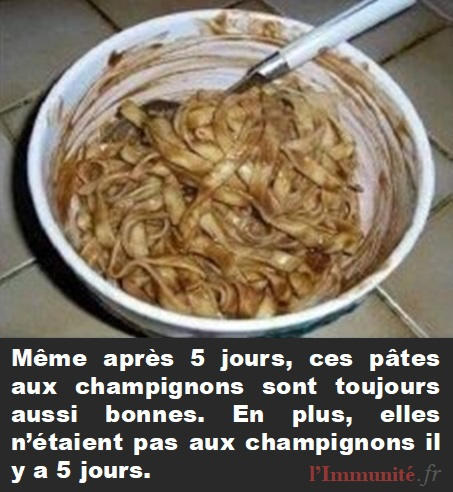 20250716180220meme-apres-5-jours-ces-pates-aux-champignons-sont-toujours-aussi-bonnes.jpg