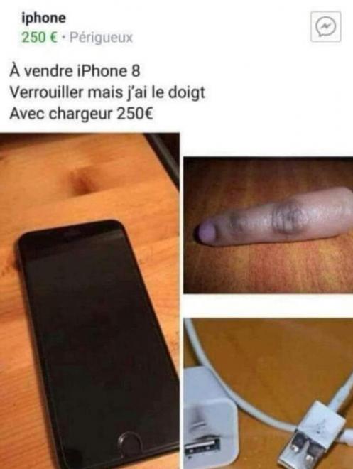 202508011538212025-08-0115.jpg