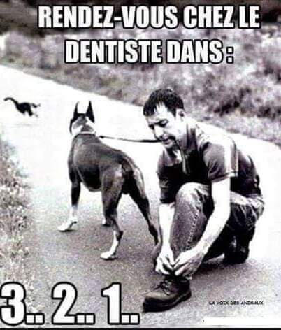 20250816071723rendez-vous-chez-le-dentiste-dans-3-2-1.jpg