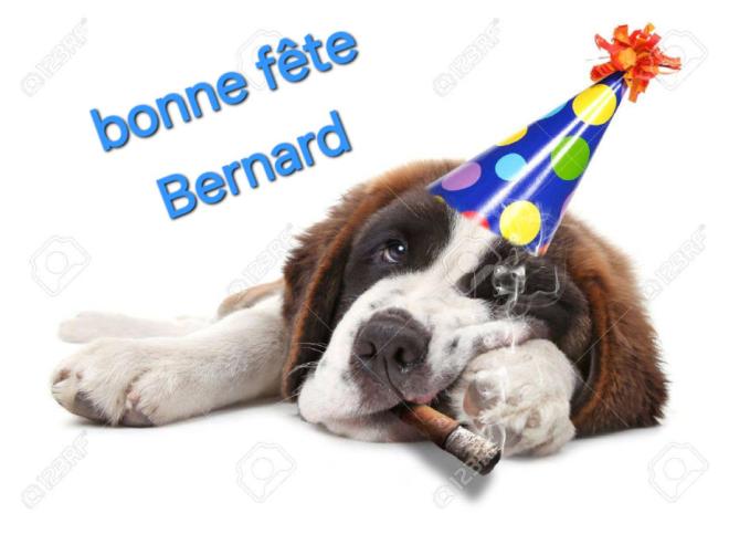 2026082005464417499541-saint-bernard-puppy-who-partied-too-hard-smoking.jpg