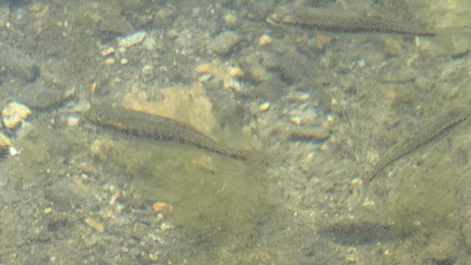 20250812144355img-20250812-wa0014.jpg