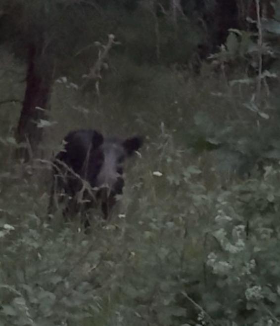 20260530220723img-20260530-wa0022.jpg