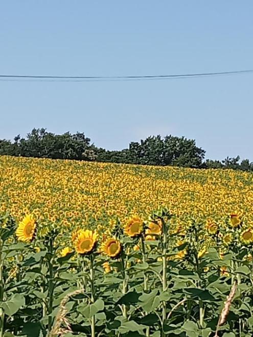 20260618101353img20260618100646.jpg