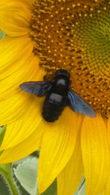 20260627110554img-20260627-wa0028.jpg