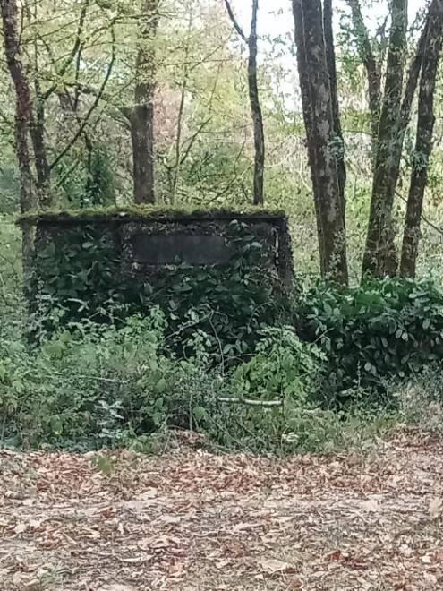 20260930122749img20260930112930.jpg