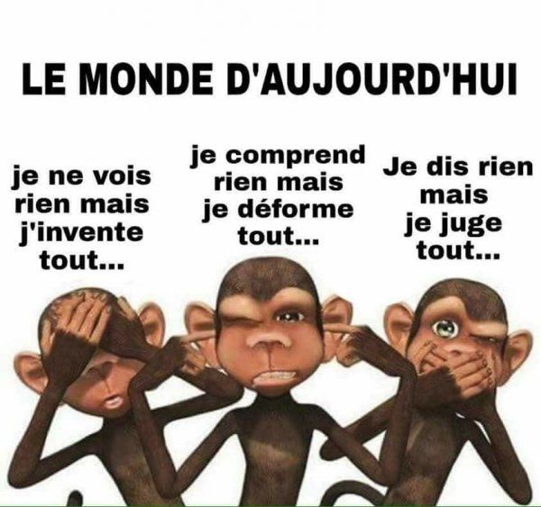 20201122192529lemondeaujourdhui.jpg