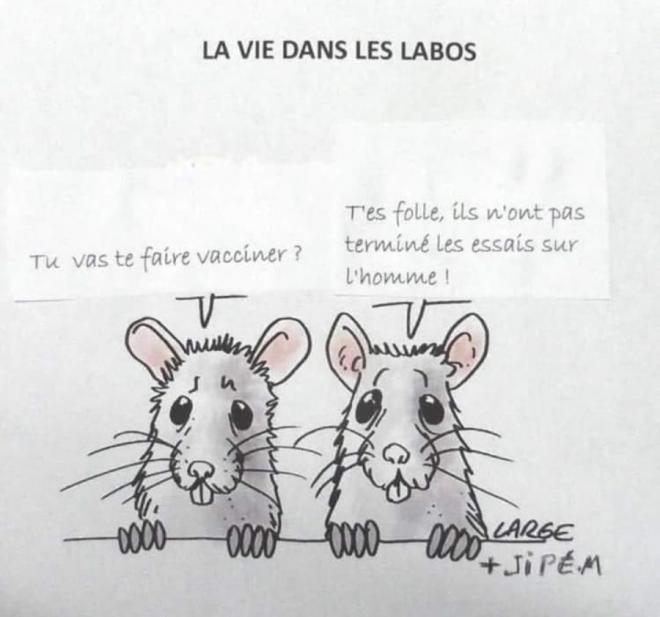 20210122122057laviedansleslabos.jpg