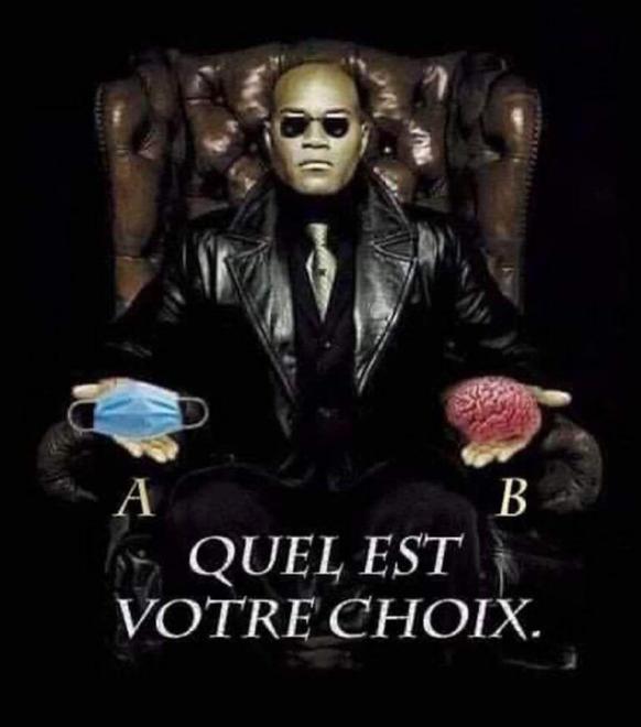 20210122122255quelestvotrechoixmatrix.jpg