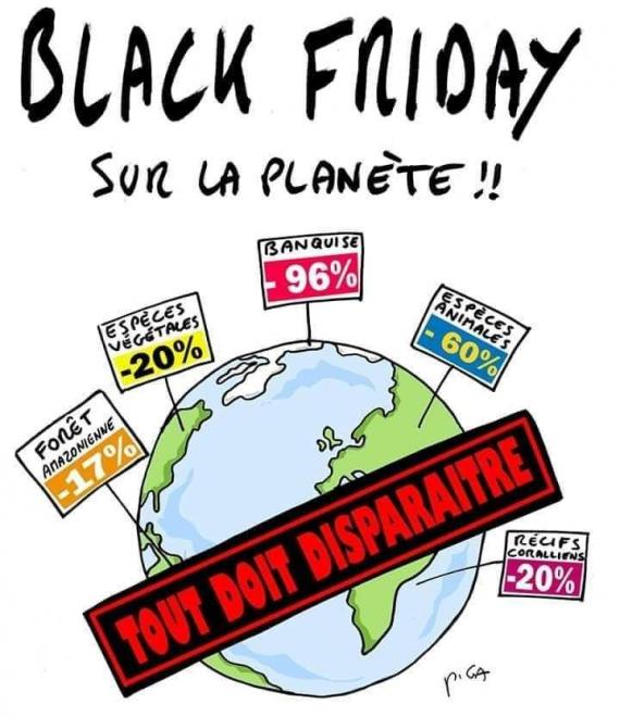 20210122173705blackfridaysurlaplanete.jpg