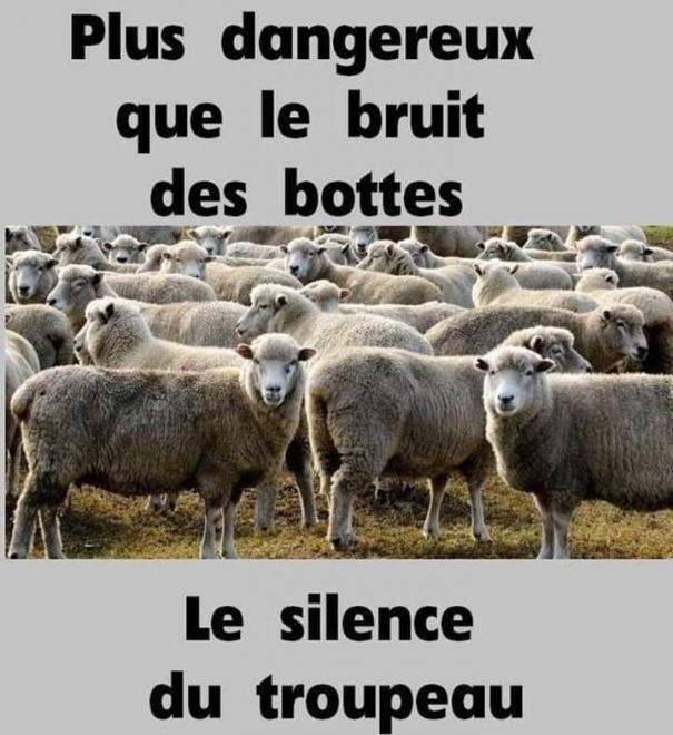 20210126122200plusdangereuxbottes.jpg