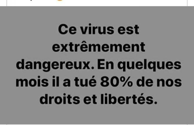 20210202185648viruslibertes.jpg