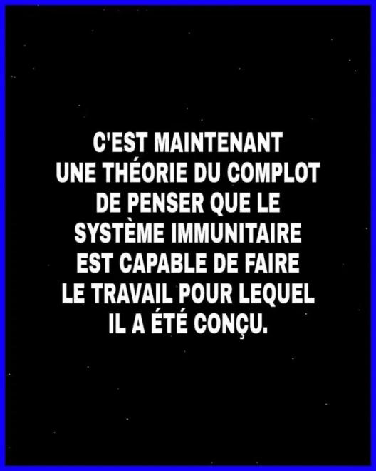 20210202190058systemehimunitairecomplot.jpg