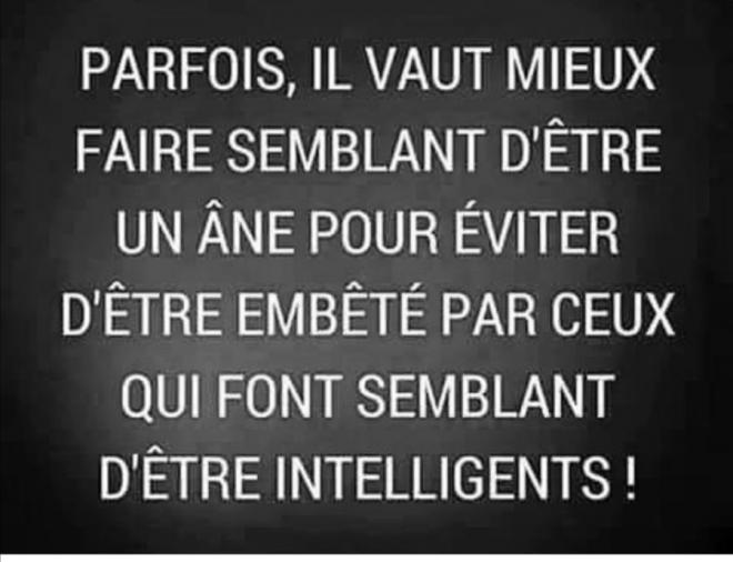 20210204115939fairesemblant.jpg
