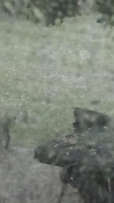 20250626092950img-20250625-wa0018.jpg
